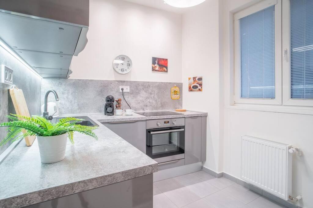Sukromny Staromestsky Apartman V Uzasnej Lokalite/Cozy Old-Town Apartment In A Great Neighborhood Bratislava Eksteriør bilde